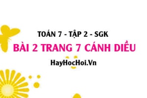 Bài 2 trang 7 Toán 7 Tập 2 Cánh Diều